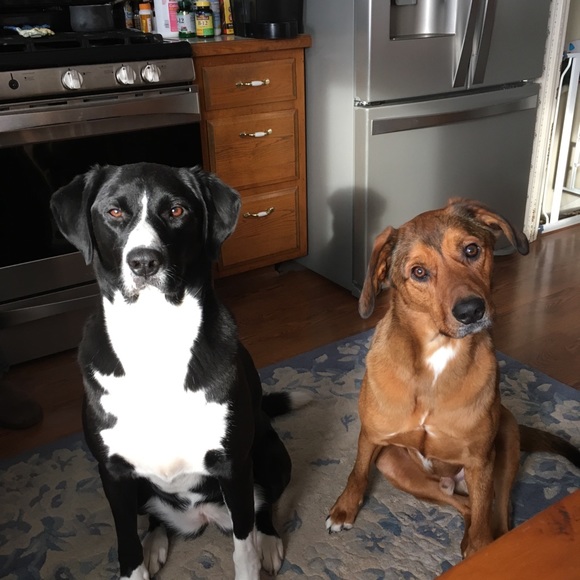 Meet your Posher Julie! - Picture 2 of 2